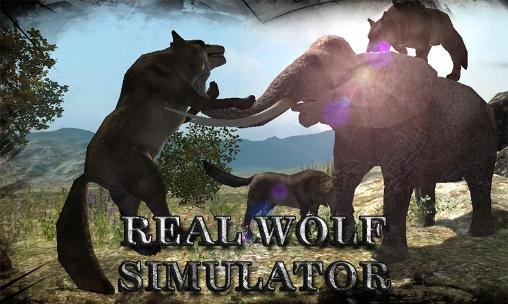 download Real wolf simulator apk